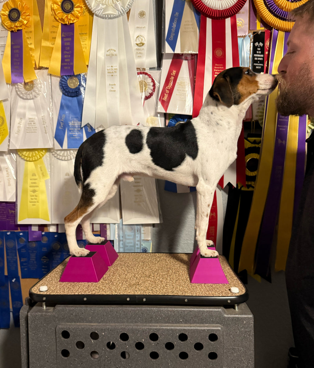 Hot Pink Dog Stacking Blocks
